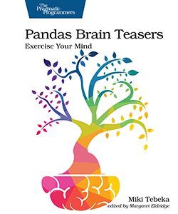 Pandas Brain Teasers